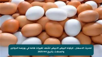 تحديث الأسعار.. كرتونة البيض الأبيض تشهد تغيرات هامة في بورصة الدواجن والمحلات بتاريخ 6-9-2025
